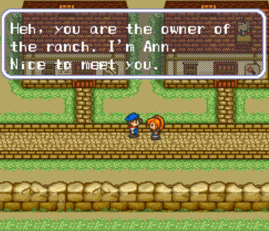 Ann's introduction
