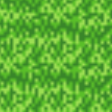 Grass